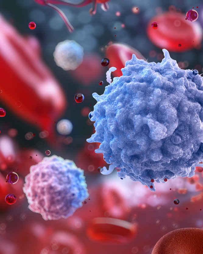 3D illustration of the blood circulation with a large light blue immune cell in the foreground and red blood cells in the background.
