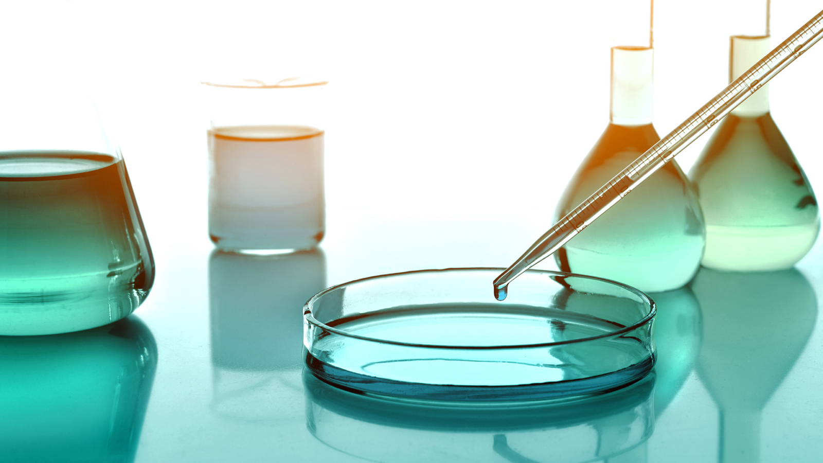 Close-up in a laboratory: pipette over a Petri dish, with two lab bottles in the background.